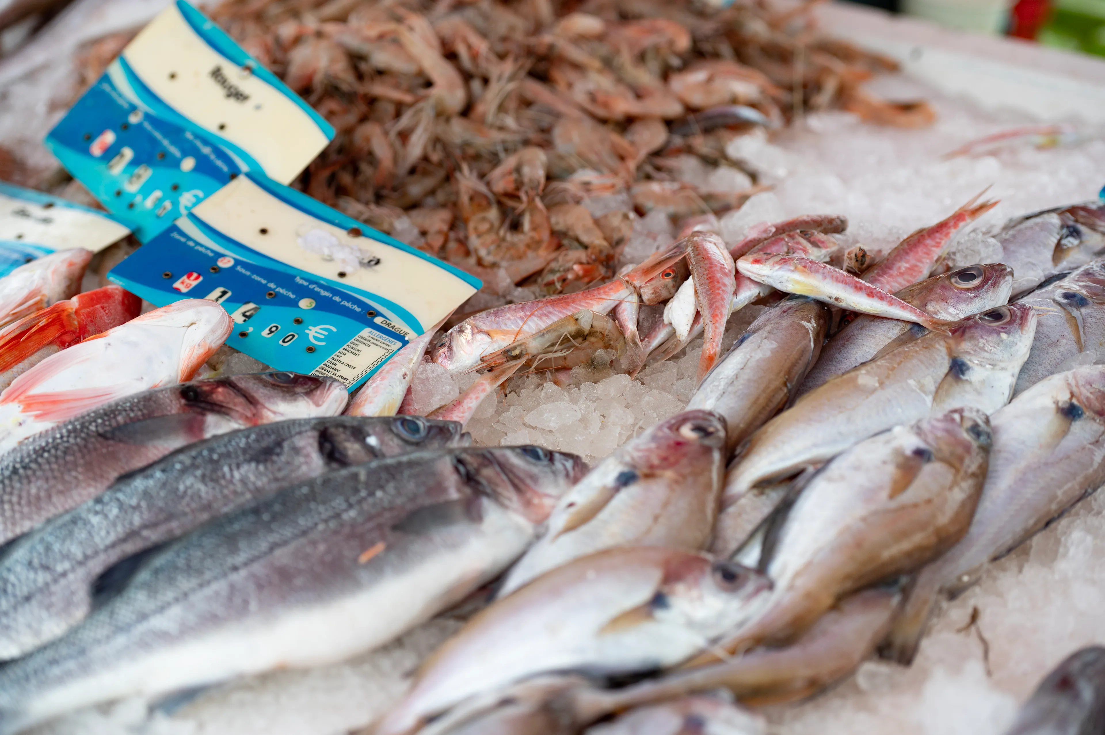Le marché du vendredi