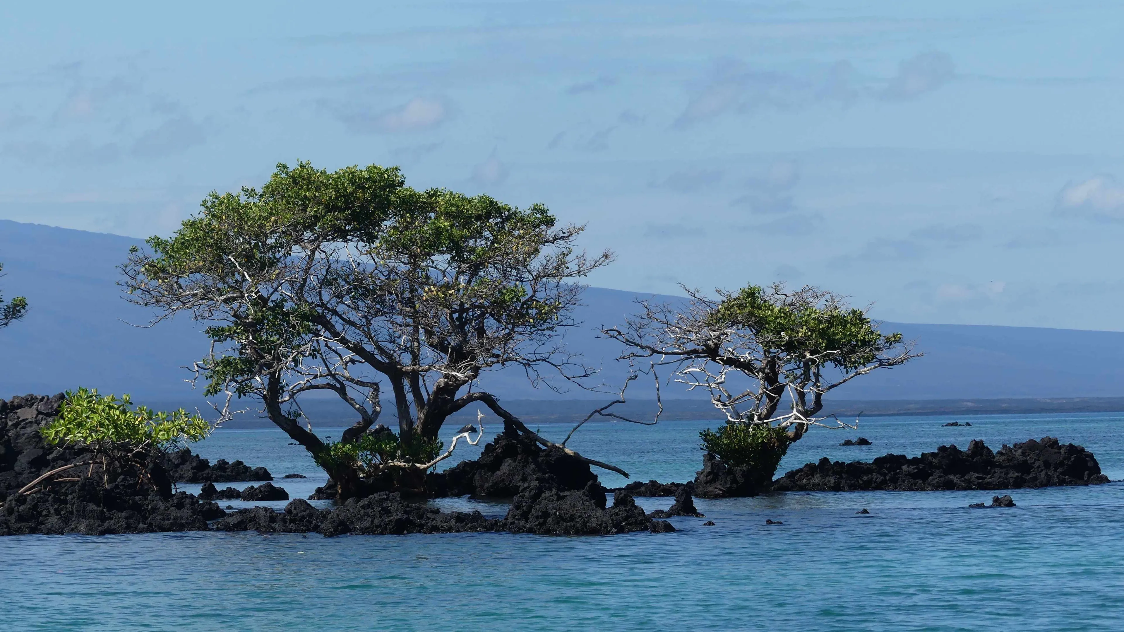 Escales aux Galápagos