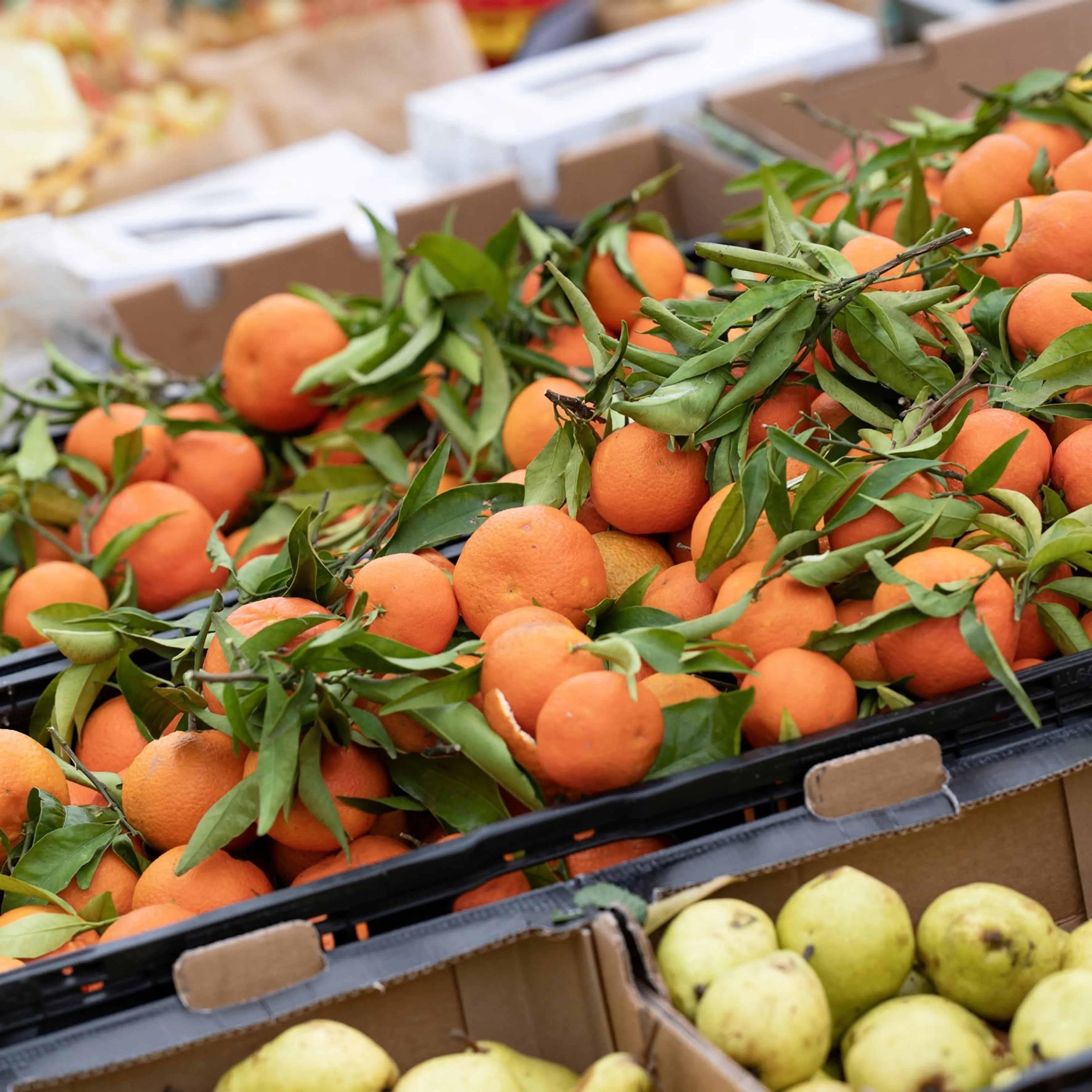 Le marché hebdomadaire évolue !