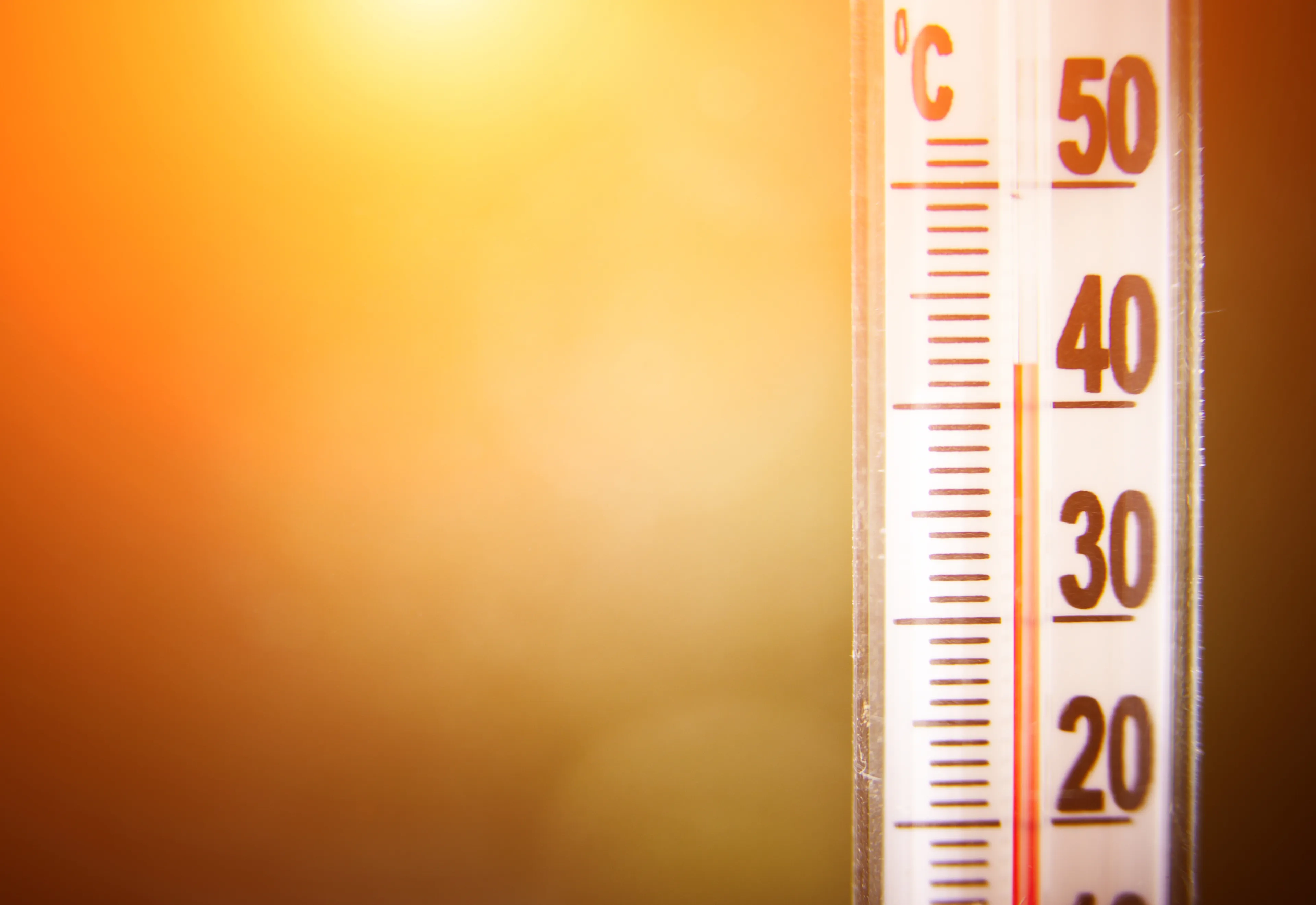 Plan canicule pour nos séniors