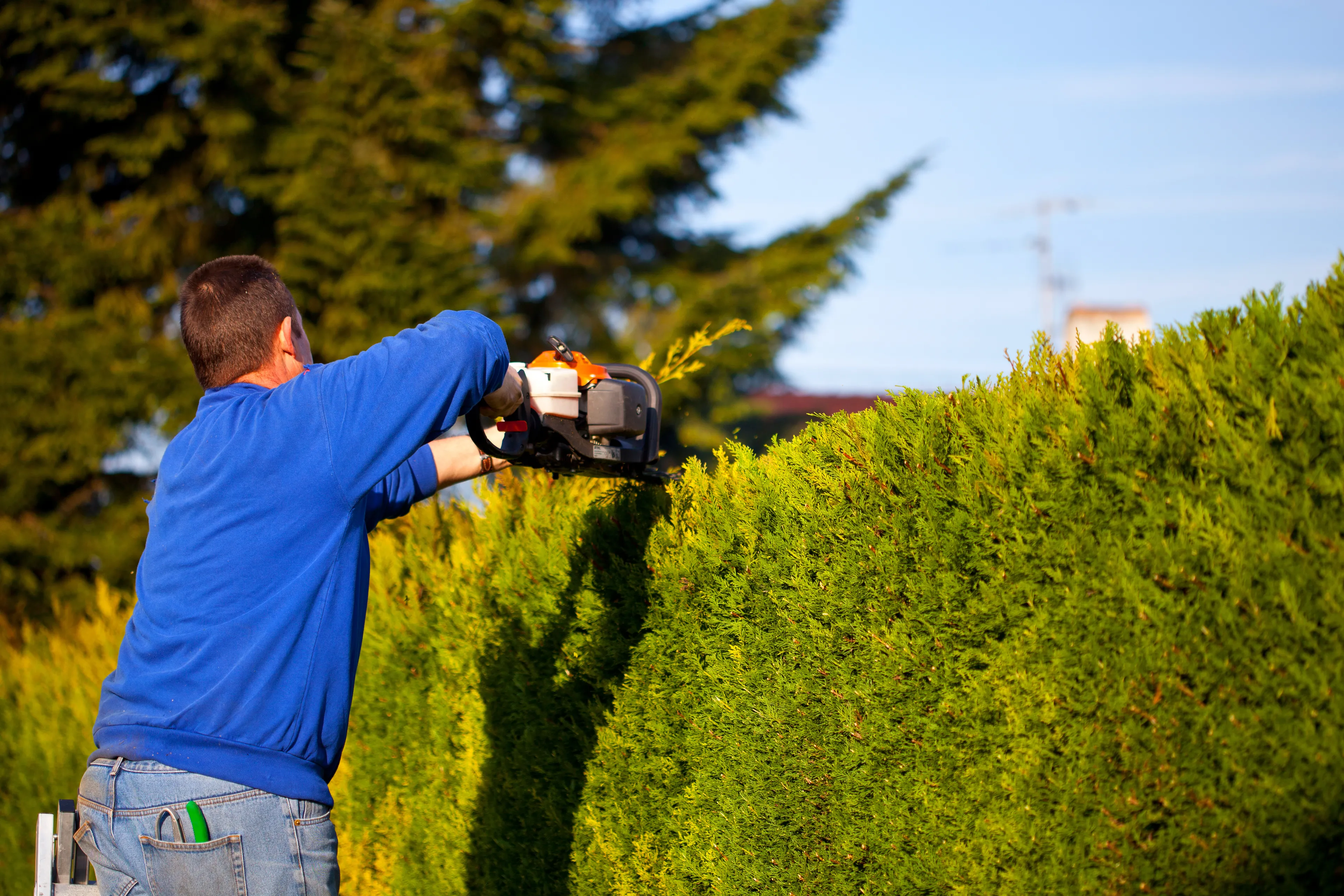 Bien vivre ensemble : entretenir ses extérieurs en toute sérénité