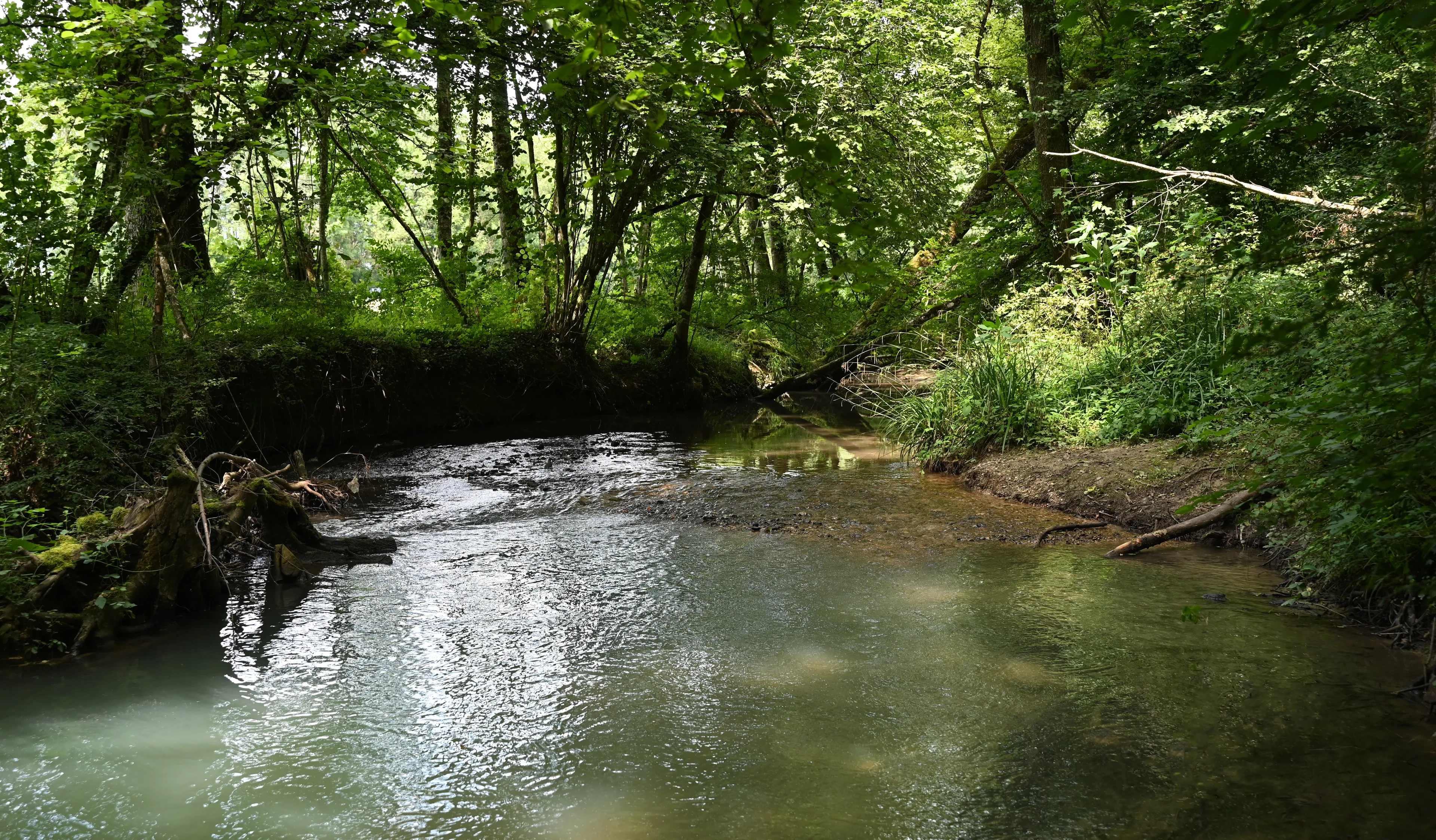 Enquête publique PPRN «inondations Allondon et Gobé» sur Ferney-Voltaire, Prévessin-Moëns et Saint-Genis-Pouilly