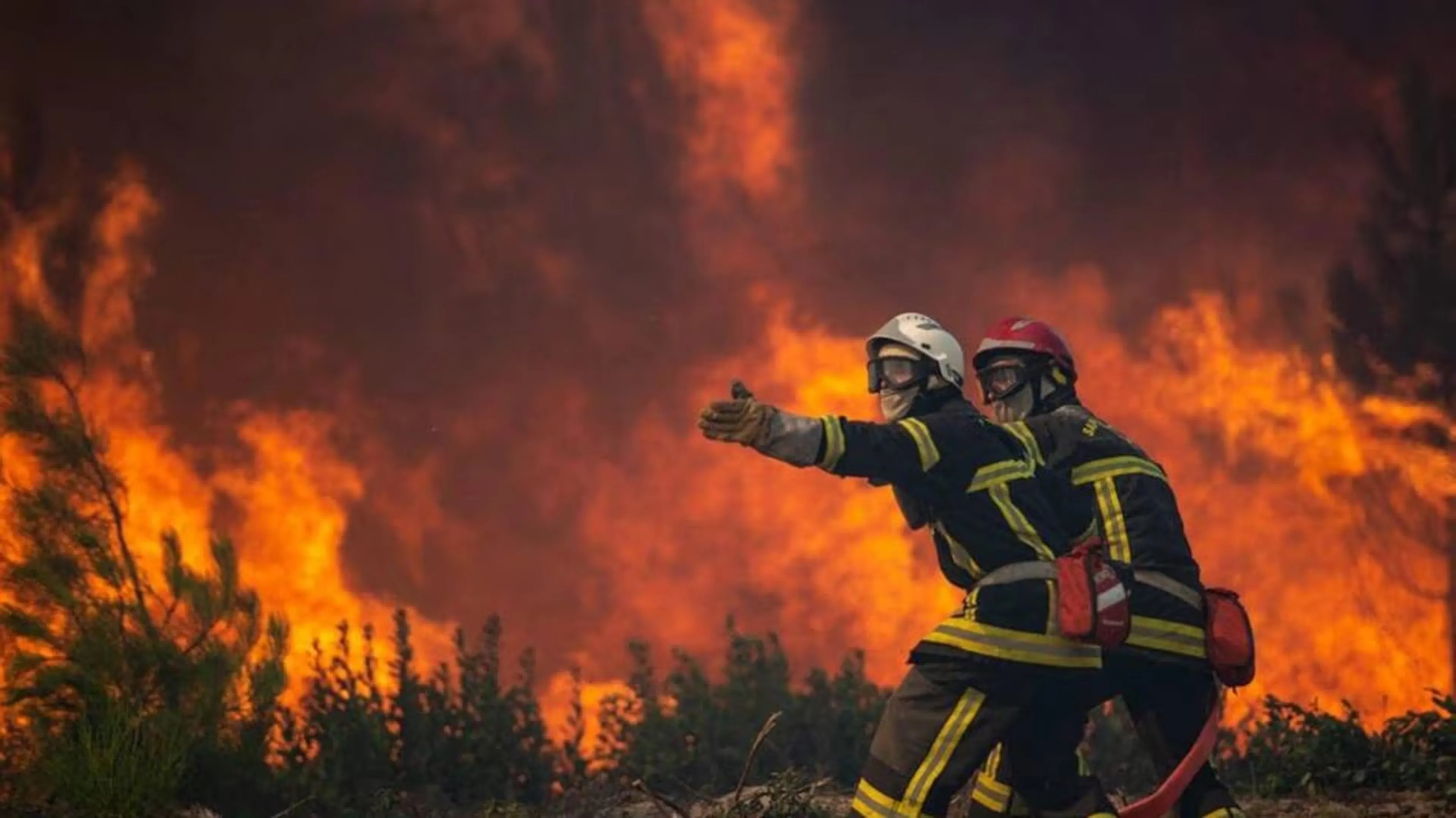 Mobilisation et soutien financier en faveur des territoires sinistrés par les feux de forêt